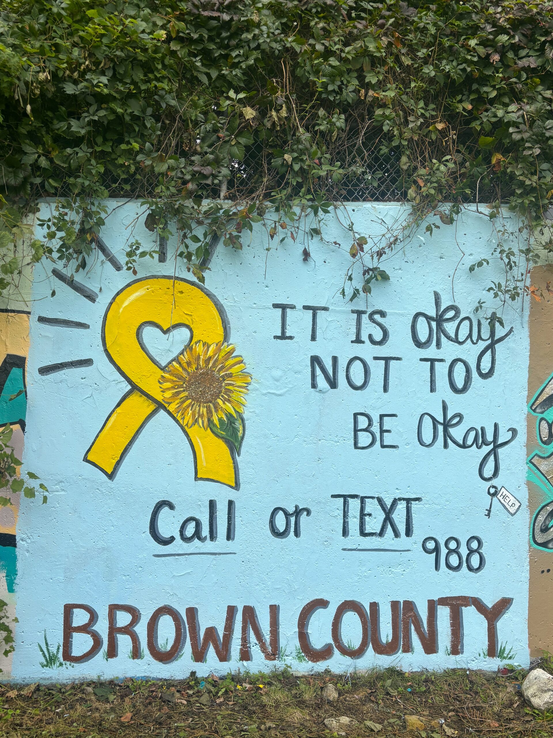 Brown Co. Yellow Ribbon shines a light on suicide awareness | News ...